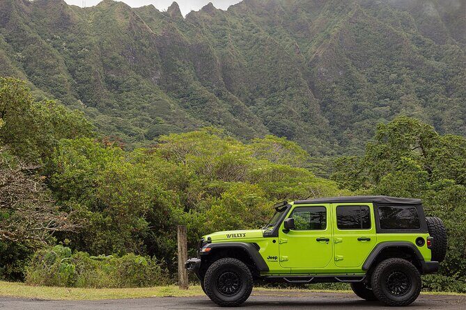 Private Half-Day Tour: Deluxe Experience. 30 Professional Photos - The Bottom Line