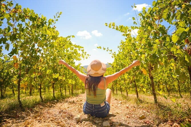Private Half-Day Tour from Florence to Chianti Wine Region - The Sum Up
