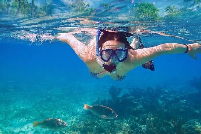 Private Half Day Tour in Cenote Cave and Swimming with Turtles - Exploring the Details of This Riviera Maya Tour