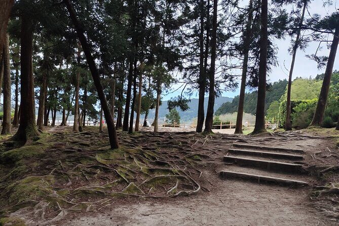 Private Half-Day Tour in Furnas São Miguel Island - Summing Up