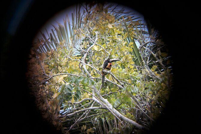Private Half Day Tour in Kohunlich Archaeological Zone - How Does It Compare to Other Tours?
