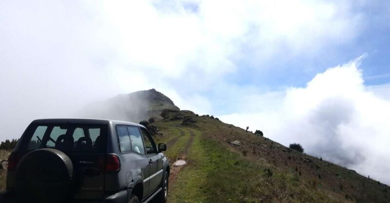 Private Half-Day Tour of Funchal Sky to Sea - An In-Depth Look at the Funchal Sky to Sea Tour