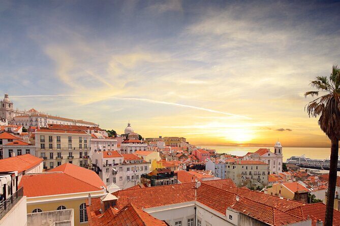 Private Half-Day Tour of Historic Lisbon - A Detailed Look at the Tour Experience