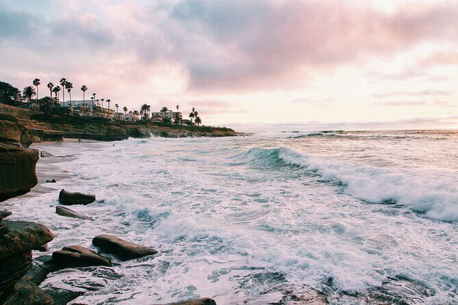 Private Half-Day Tour of San Diego with a driver-guide - Final Thoughts