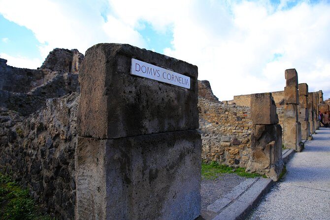 Private Half-Day Tour of The Pompeii Ruins Highlights and Mann - Who Will Love This Tour?