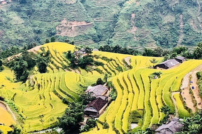 Private Half-Day Tour of Villages, Terrace Rice Fields by Car - What’s Included and What’s Not