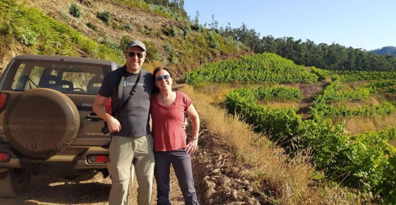 Private Half-Day Tour of Wine Fields - Key Points