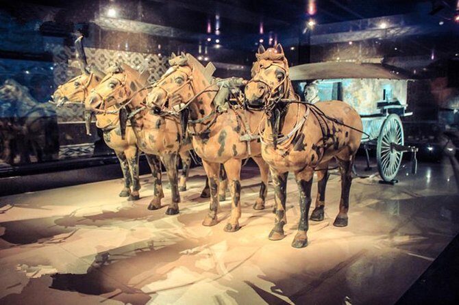 Private Half-Day Tour of Xi'an Terracotta Warriors - A Deep Dive Into the Itinerary