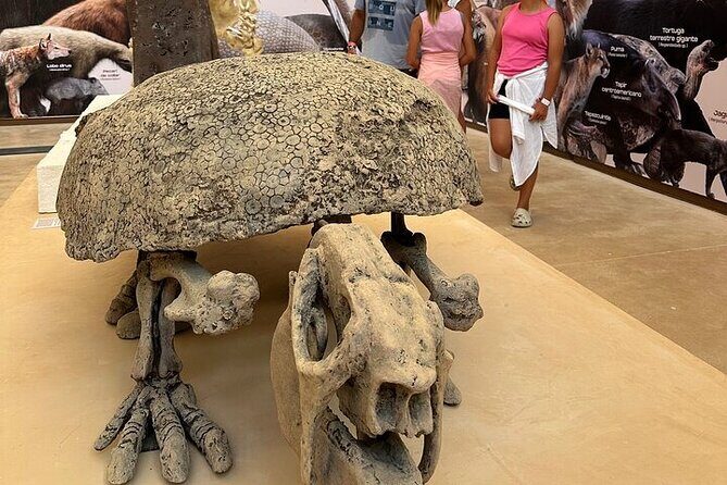 Private Half Day Tour to Tulum Ruins from Tulum - FAQ