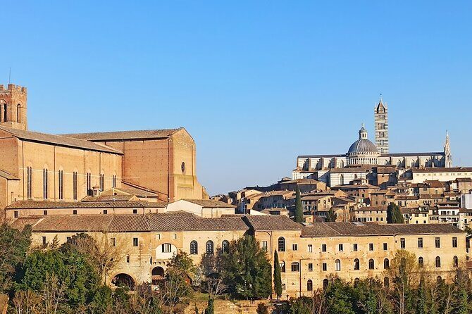 Private Half Day Tour: Visit Siena & Chianti Classic tour with Wine Experience - FAQs