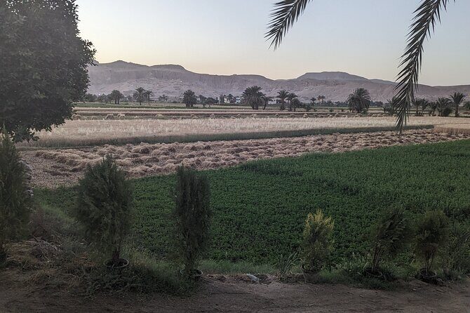 Private Half Day Tour West Bank of the Nile Luxor Egypt - Final Summary