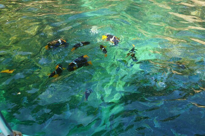Private Half-Day Tour with Snorkeling at Animas Beach - Detailed Itinerary Breakdown
