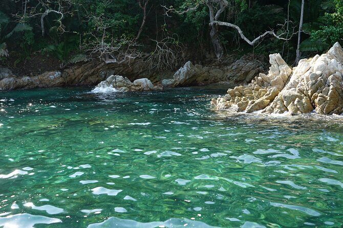 Private Half-Day Tour with Snorkeling at Animas Beach - Frequently Asked Questions