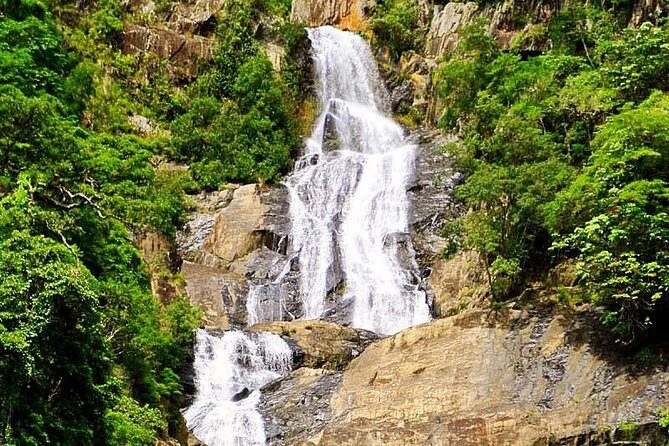 Private Half Day Tour: World Heritage Rainforest & Waterfall - Summary: Why Choose This Tour?