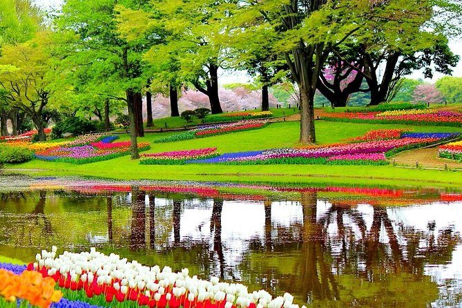 Private Half-Day Trip From Amsterdam to The Tulip Fields in Keukenhof - Who Would Enjoy This Tour?