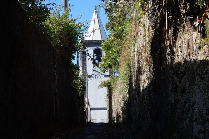 Private Half-Day Walking Tour of Horta Experience - Who Will Love This Tour?