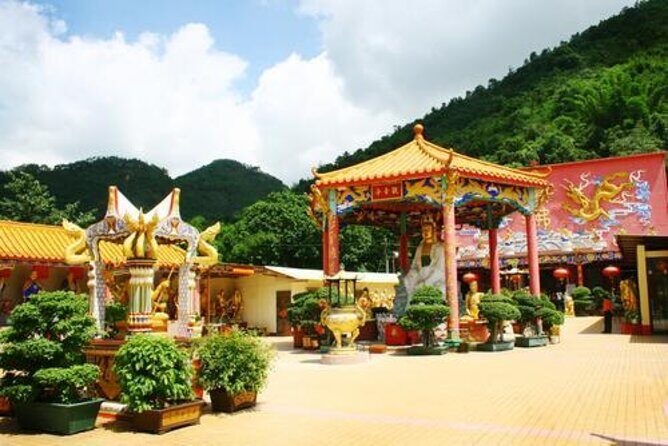 Private Half-Day Walking Tour of the New Territories Region in Hong Kong - Exploring Hong Kong’s Hidden Charm: A Review of the Private Half-Day Walking Tour of the New Territories