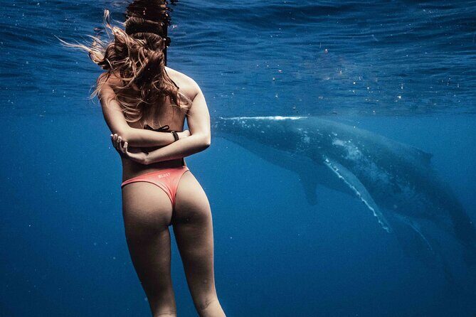 Private Half Day Whale Watching Tour - Why This Tour Stands Out