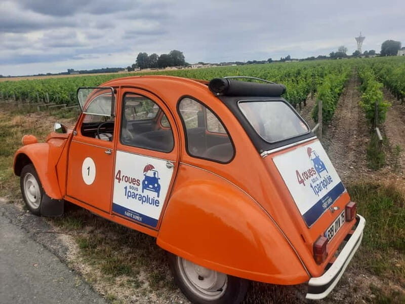 Private Half-Day Wine Tour in Citroën 2CV - Key Points