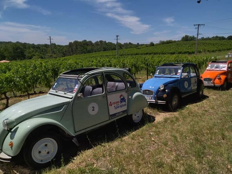 Private Half-Day Wine Tour in Citroën 2CV - The Sum Up