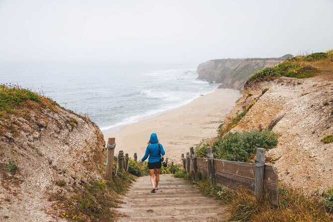 Private Half Moon Bay Coastal Delights Driving Tour - What You Need to Know: Transportation, Timing, and Flexibility
