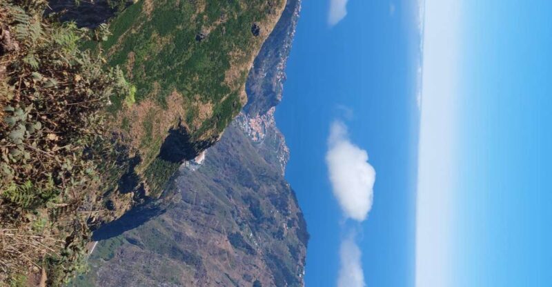 Private halfday & Eucalyptus forest Offroad - A Closer Look at the Itinerary