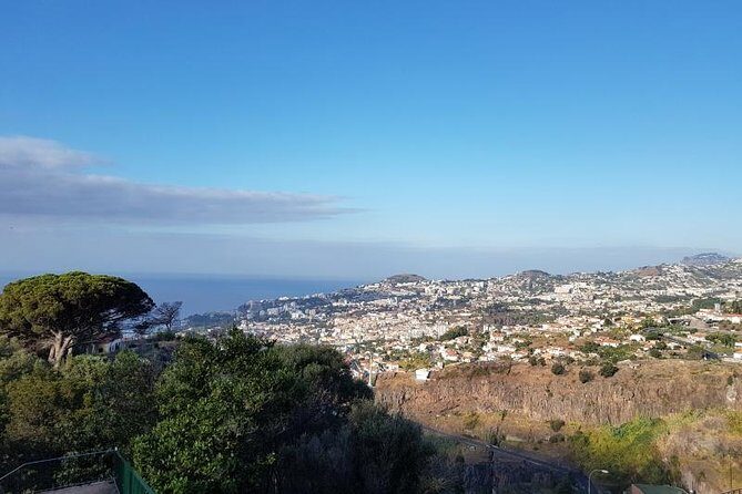 Private Halfday Madeira Garden Tour - Who Would Love This Tour?