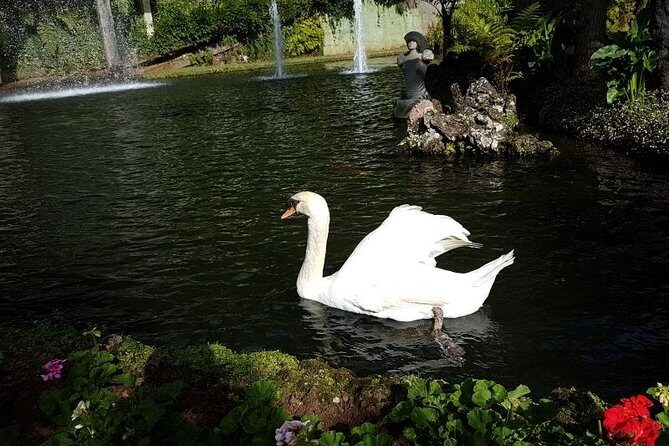 Private Halfday Madeira Garden Tour - Final Thoughts