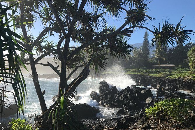 Private Halfway to Hana Tour - A Closer Look at the Itinerary and What to Expect