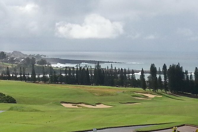 Private Hana, Ocean, Turtle Town, Winery Tour of Maui - Discovering Maui with a Private Touch