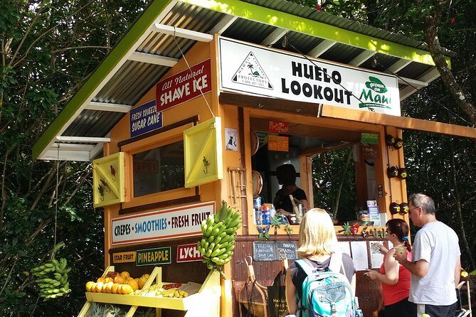 Private Hana, Ocean, Turtle Town, Winery Tour of Maui - The Value of a Private Experience