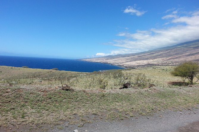 Private Hana, Ocean, Turtle Town, Winery Tour of Maui - The Sum Up