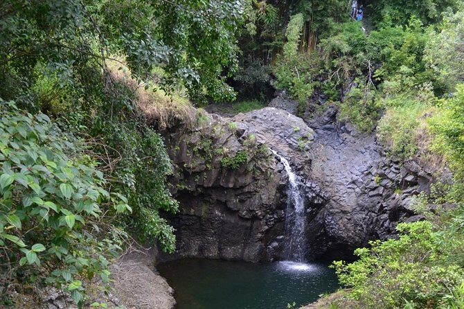 Private Hana Waterfalls Tour - A Closer Look at the Itinerary: What to Expect