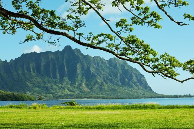 Private Hang Loose at North Shore, Oahu Tour - Who Is This Tour Best For?