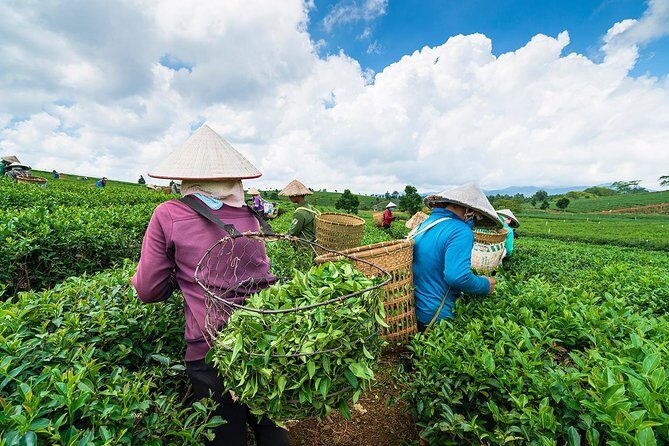Private Hangzhou Day Tour to West Lake, Lingyin Temple, Tea Village, Old Pagoda - West Lake: The Soul of Hangzhou