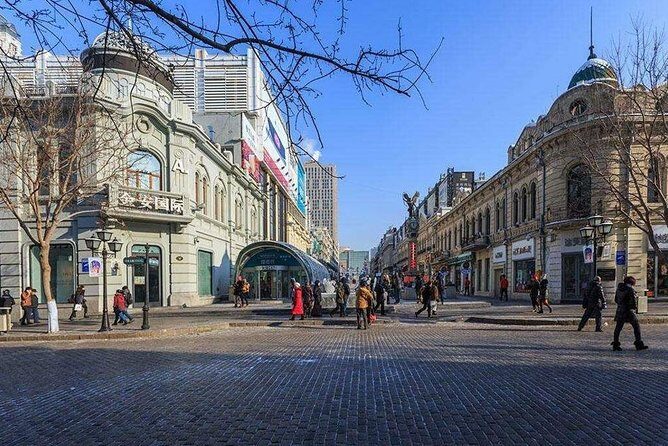 Private Harbin City Day Tour of Russian Historical Sites and Culture - Who Is This Tour Best For?