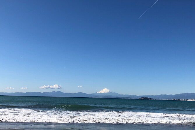 Private Hayama Tour with Certified Guide- Local Culture&Food - Who Will Love This Tour?