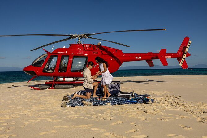Private Helicopter Tour: Reef Island Snorkeling and Gourmet Picnic Lunch - The Value and Cost