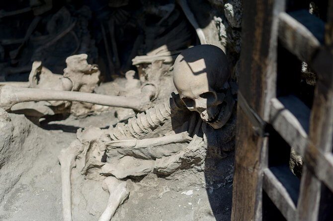 Private Herculaneum Guided Tour from Sorrento - FAQ