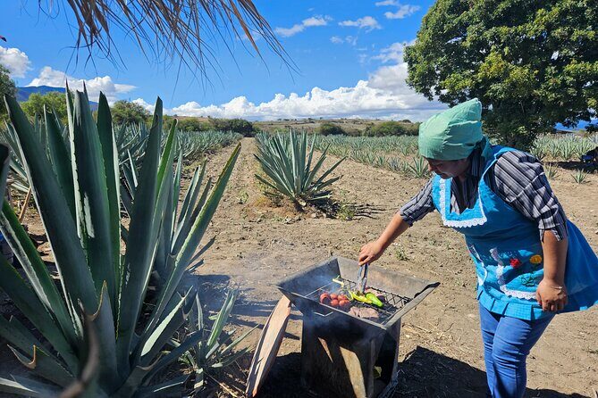 Private: Hierve El Agua, Mitla, Mezcal and Lunch in Maguey Fields - The Sum Up