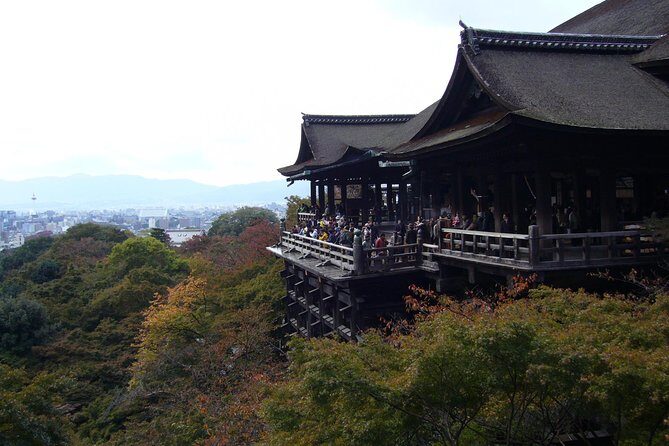Private Highlights of Kyoto Tour - Who Is This Tour Best For?