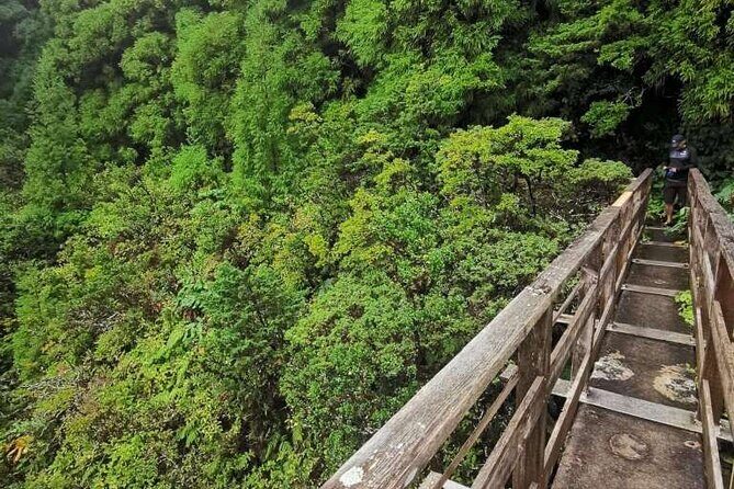 Private hike along the Levada - What to Expect from the Levada Hike
