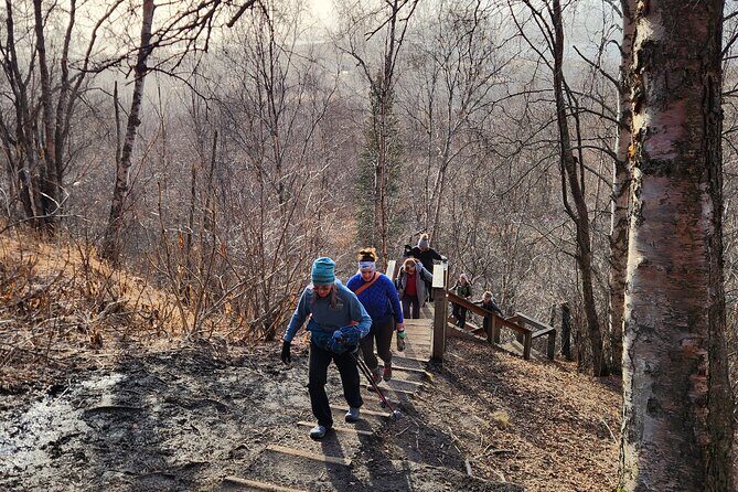 Private Hike and History Trip in Palmer, Alaska - The Sum Up: Why It’s a Solid Choice for Your Alaska Trip