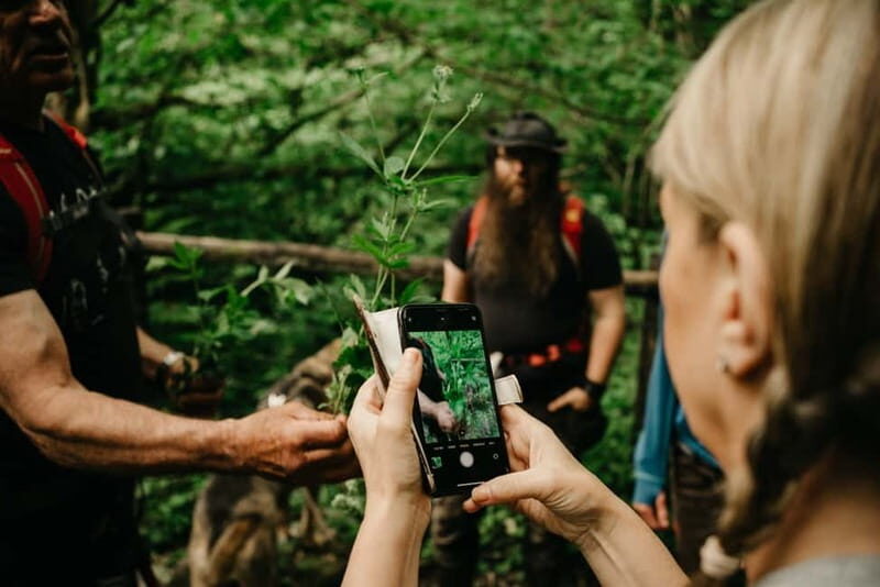 Private Hike: Brecon Beacons Henrhydd Falls Plus Foraging - Key Points