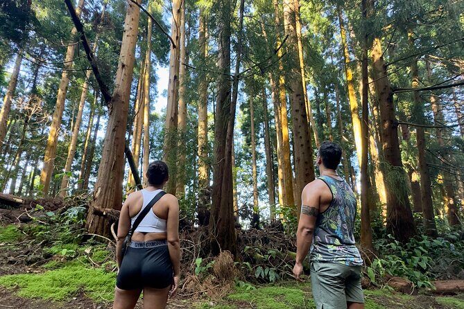 Private Hike - Discover São Miguels Craters, Lakes & Waterfalls - FAQ