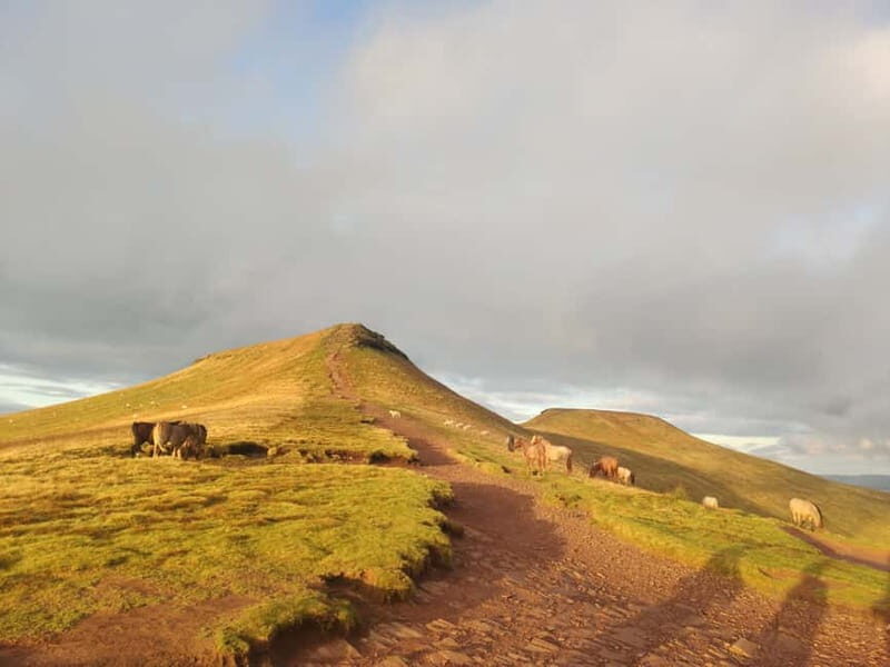 Private Hike: Pen y Fan Guided Sunset Hike Brecon Beacons - Who Should Book This Experience?