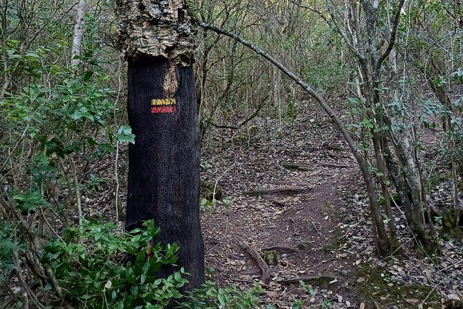 Private Hiking Adventure at Arrábida Mountain - The Sum Up