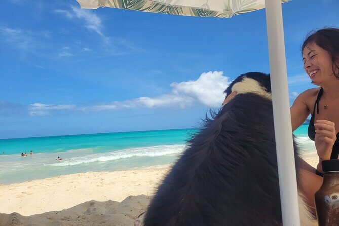 Private Hiking and Beaches Tour in Kailua Town - The Crouching Lion Trail: A Photo-Op With a View