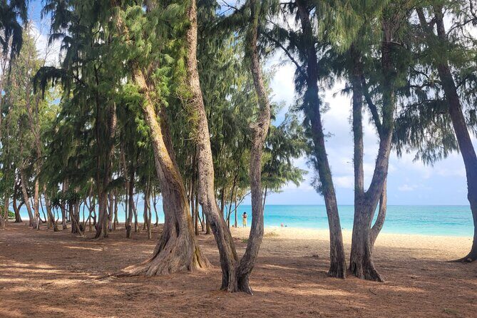 Private Hiking and Beaches Tour in Kailua Town - The Lanikai Pillbox Hike: More Stunning Vistas