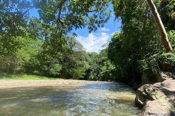 Private Hiking Experience Waterfall and Hidden Jungle Paradise - An In-Depth Look at the Waterfall and Jungle Adventure